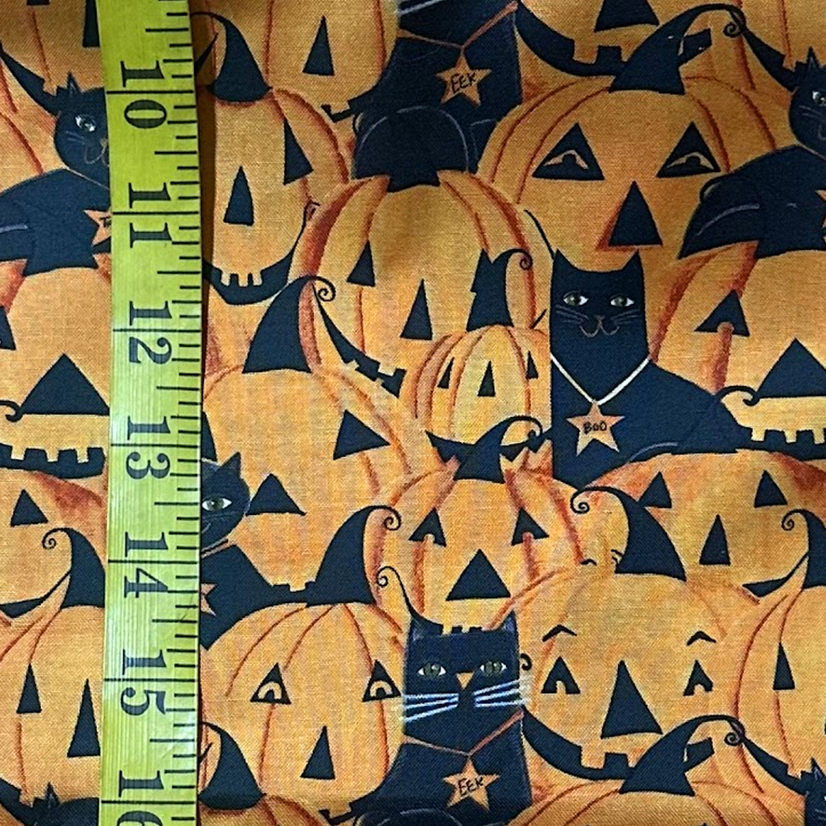 Pumpkins & Cats (Halloween 002)